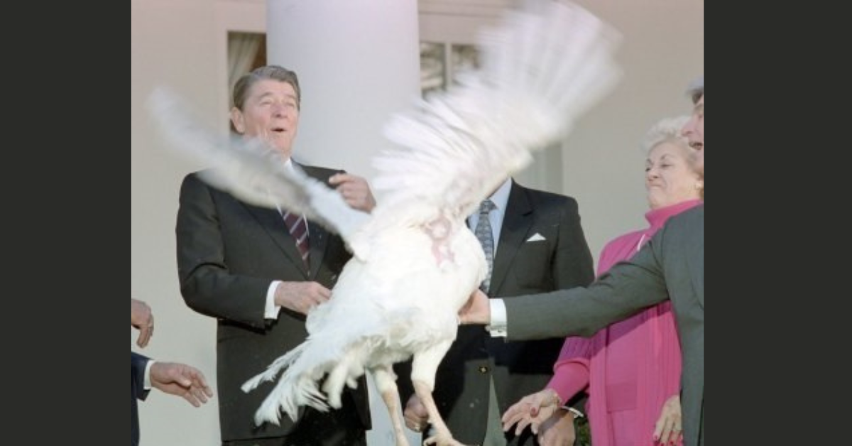 The Turkey Bird and a Future President-