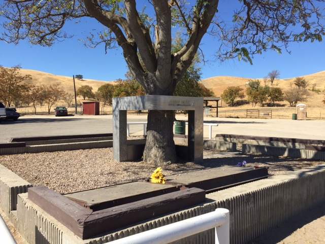   Fans still bring flowers or drop coins at the James Dean Memorial.  Photo by Steve Newvine  