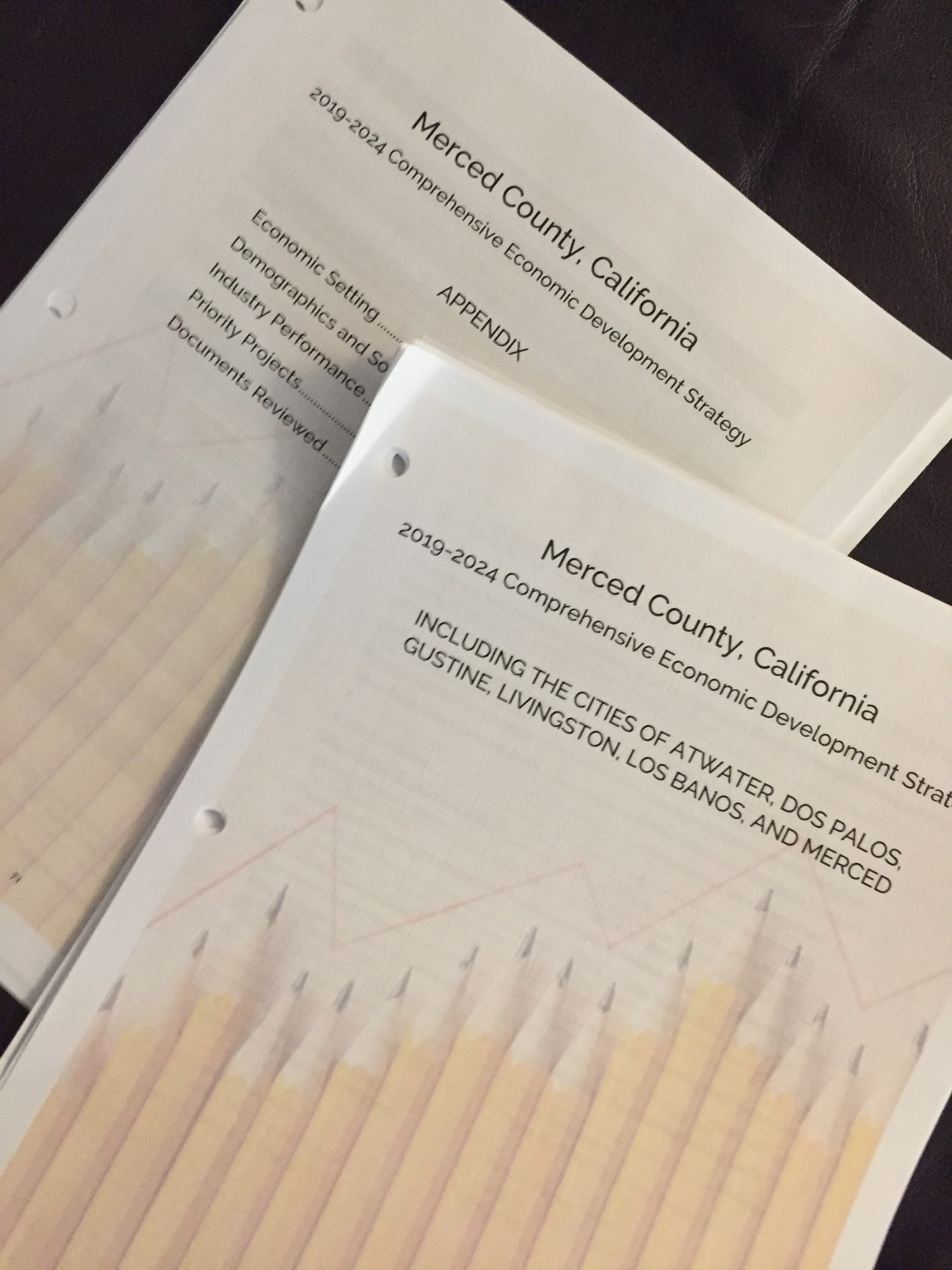  The Community Economic Development Strategy or CEDS document. 