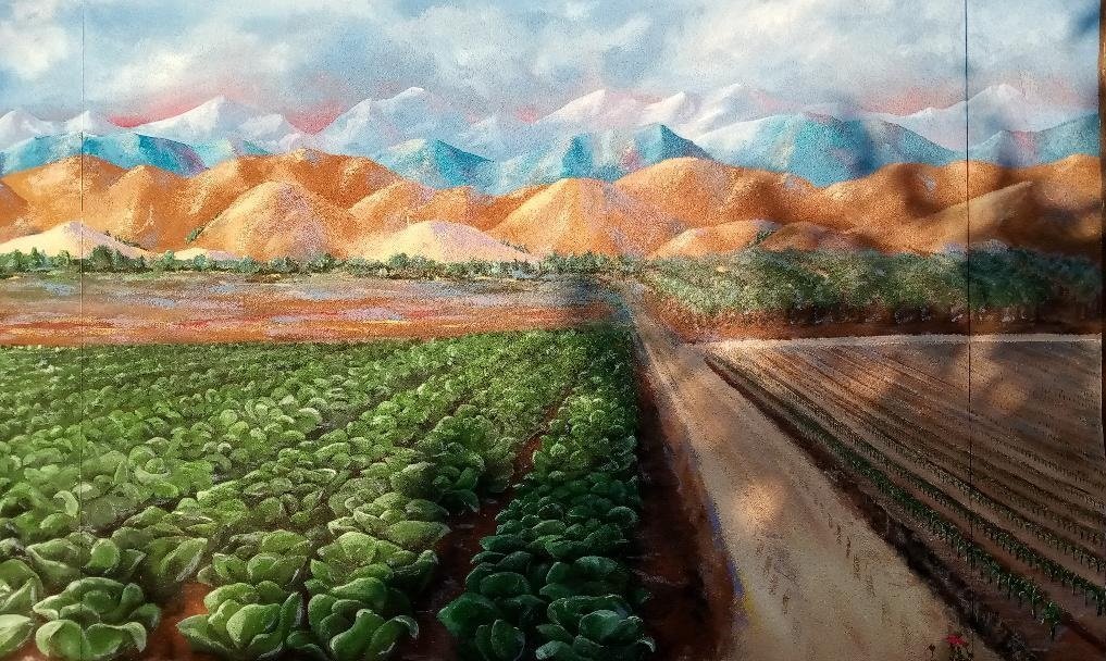  Merced County’s farm products were valued at $3.7 billion according to the 2021 Agriculture Commissioner’s Annual Report released at the end of 2022.  Photo:  Steve Newvine  