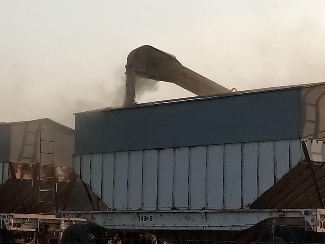   Almonds did well as a cash crop for area farmers according to the 2020 Agriculture Report.  Photo:  Steve Newvine 