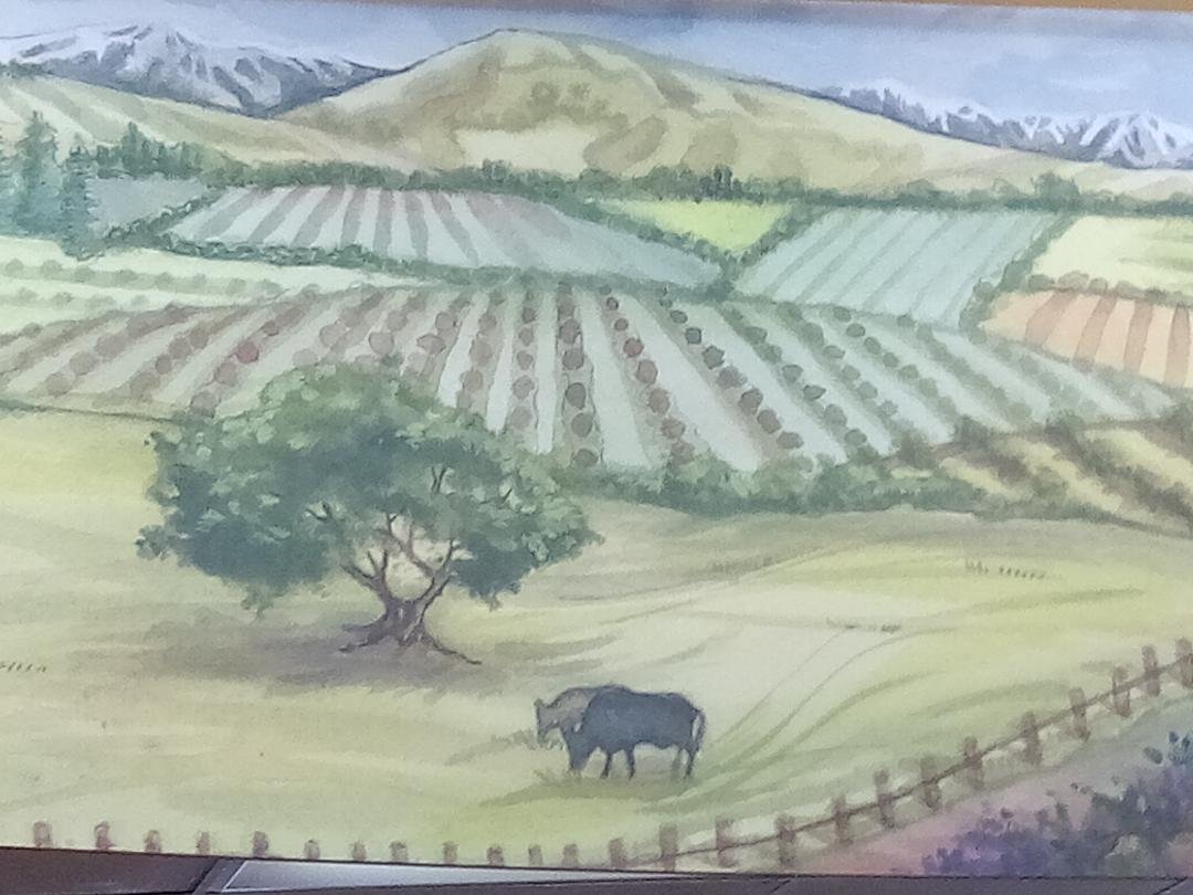  Merced County’s farm products dominate this mural above the checkouts at the Raley’s store in Merced.   