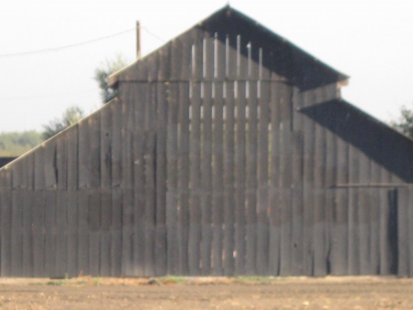 photo credit: Newvine Personal Collection