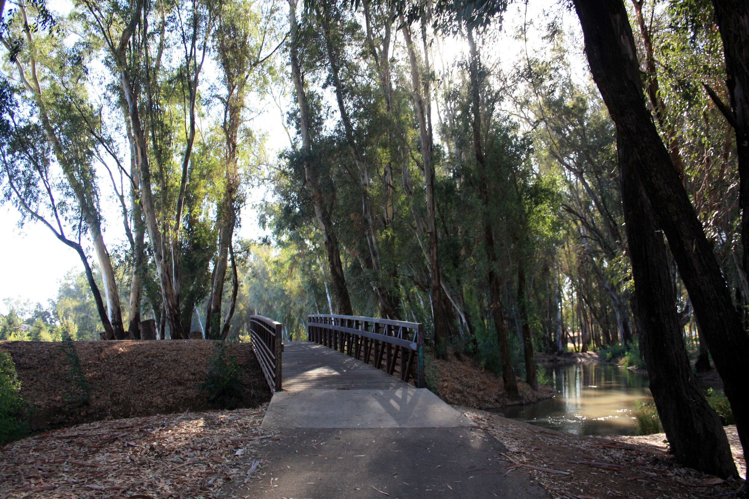 Bike Paths - PHOTO BY ADAM BLAUERT