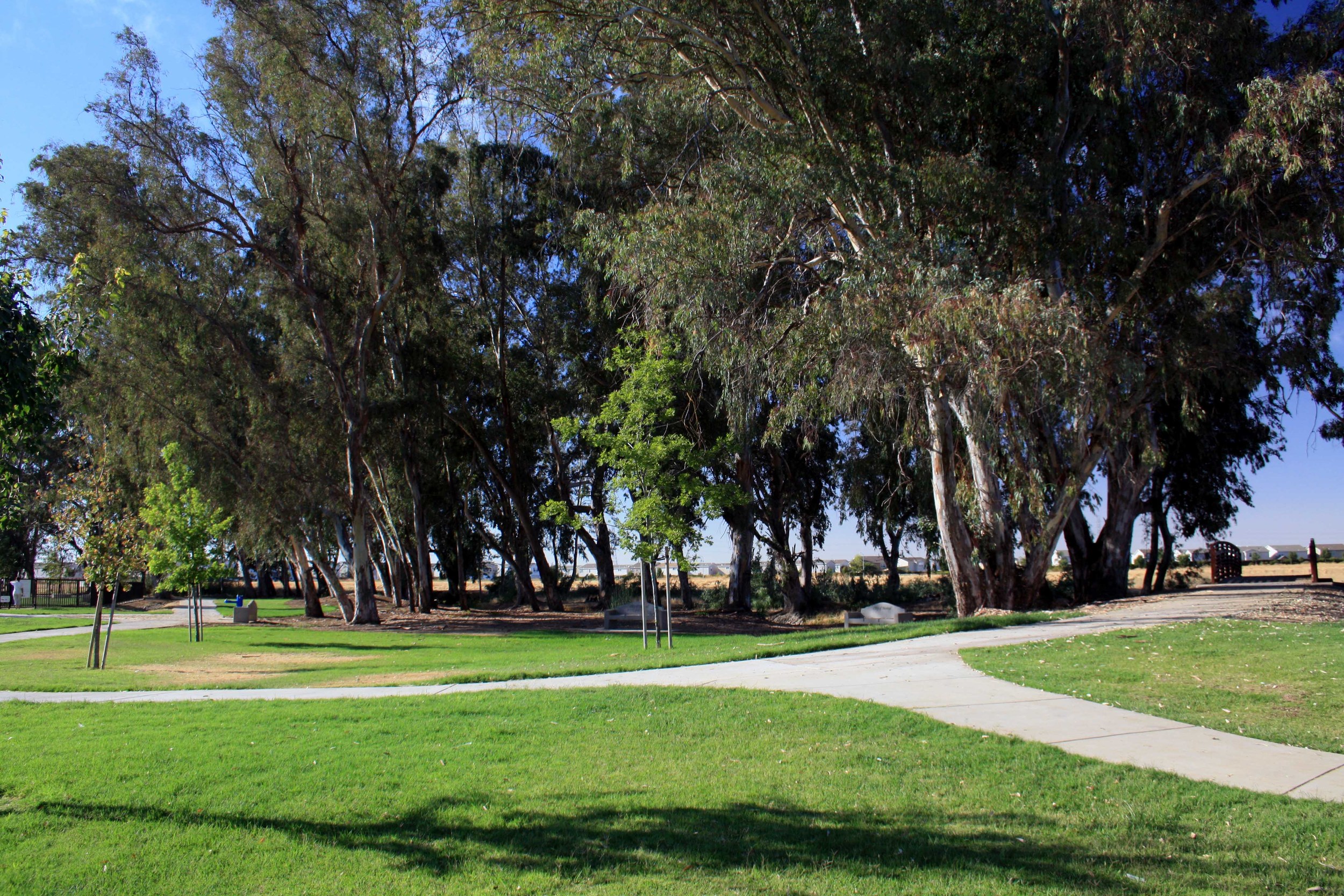 Bike Paths - photo by adam blauert