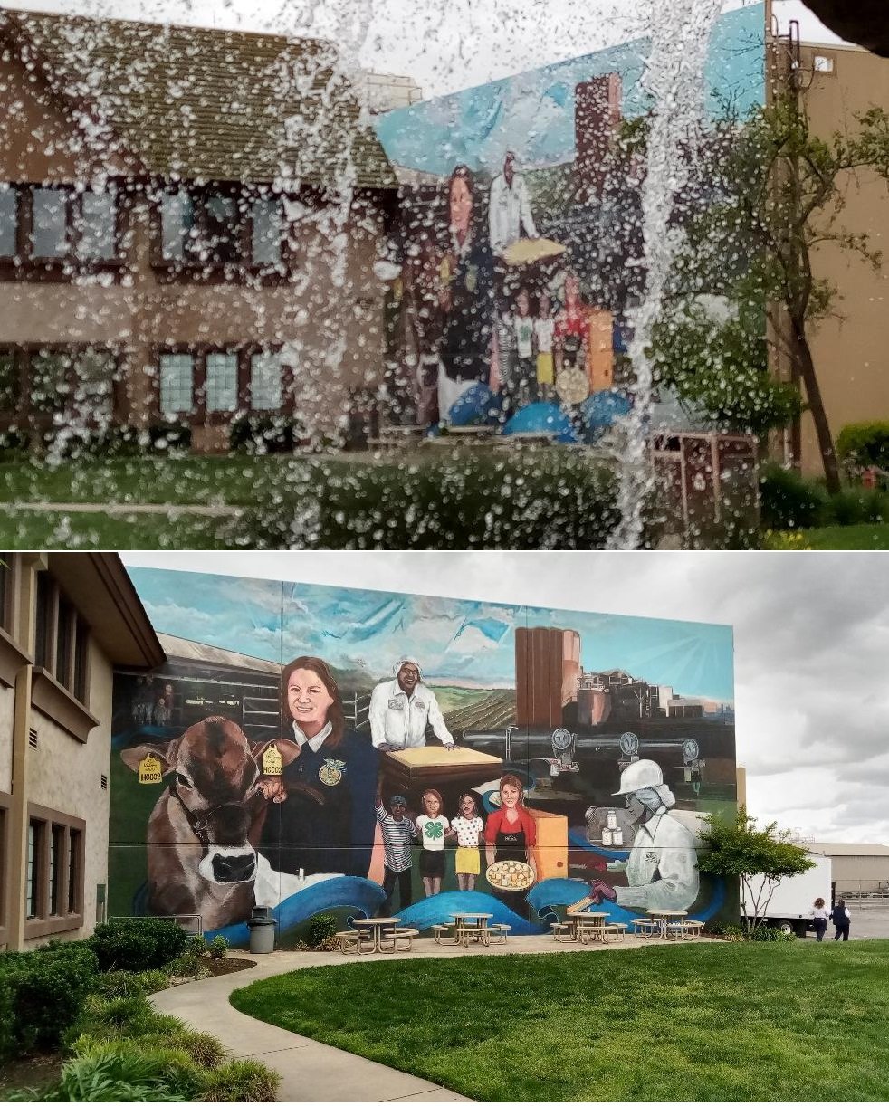A giant mural on the side of one of the buildings at Hilmar Cheese. (upper) The same mural in a photo taken from behind the waterfalls feature at the Visitor Center. Photos: Steve Newvine