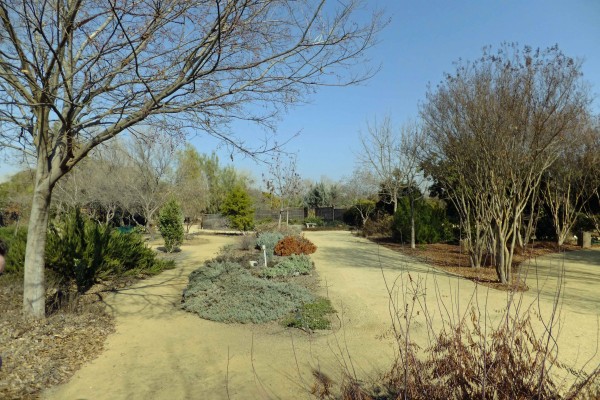 Clovis Botanical Garden