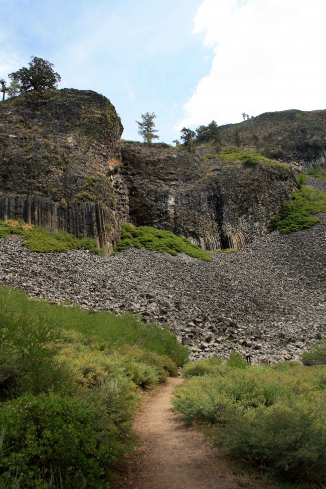  Columns of the Giants photo by adam blauert 