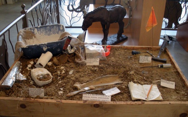 Photo By Adam Blauert