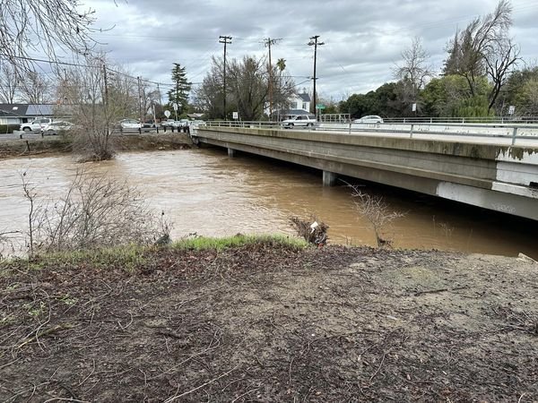 The waters of Bear Creek just barely below the bottom of the McKee road bridge in Merced. Photo: Nathan Quevedo.