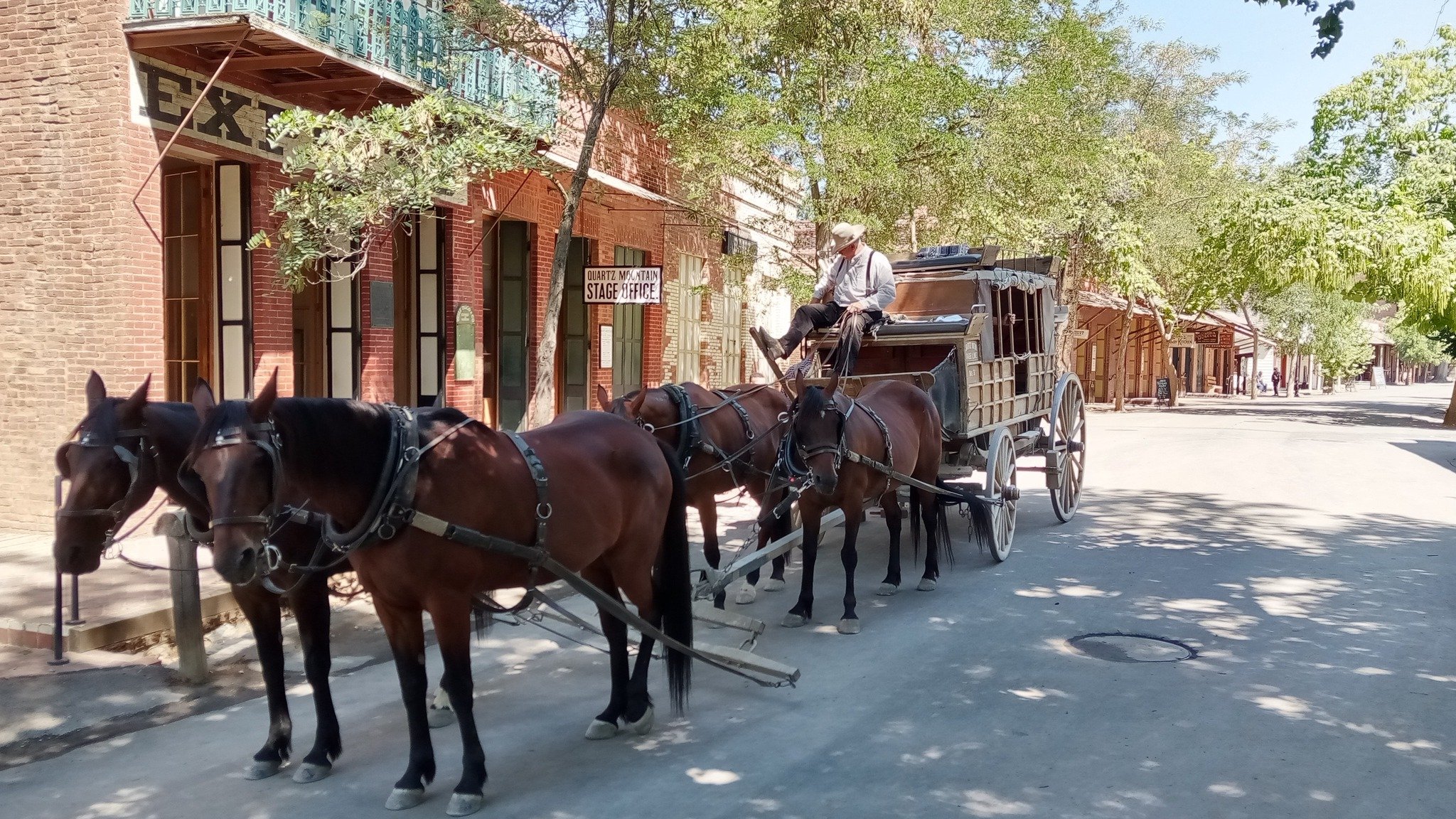 A team of horses drawing an authentic stagecoach is ready to take another group of visitors on a historic ride through Columbia, California. Photo: Steve Newvine