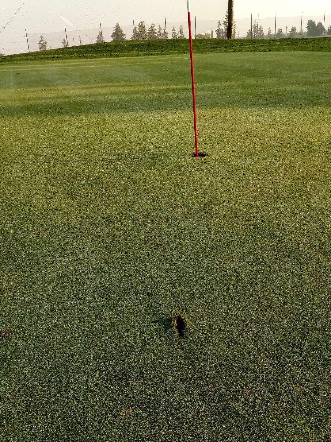  One last look at the hole where it happened. The mark on the green where the ball landed before rolling into the cup was repaired by me shortly after this shot was taken. Photo: Newvine Personal Collection 