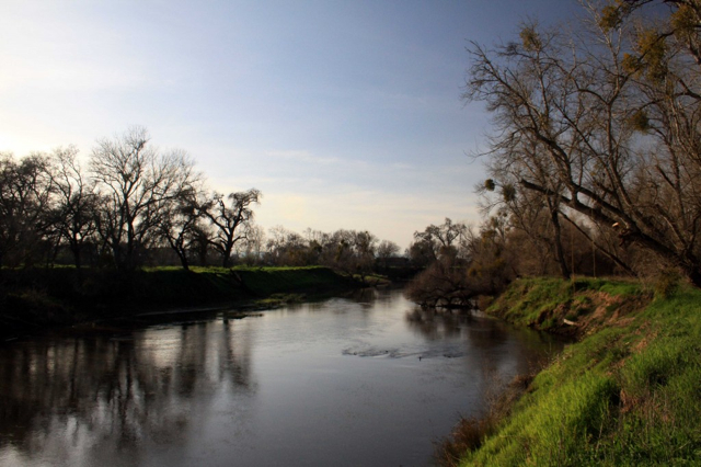 photo by adam blauert