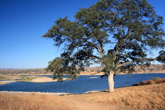 PHOTO BY ADAM BLAUERT