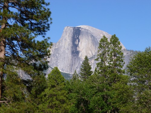 Spring time in Yosemite National Park