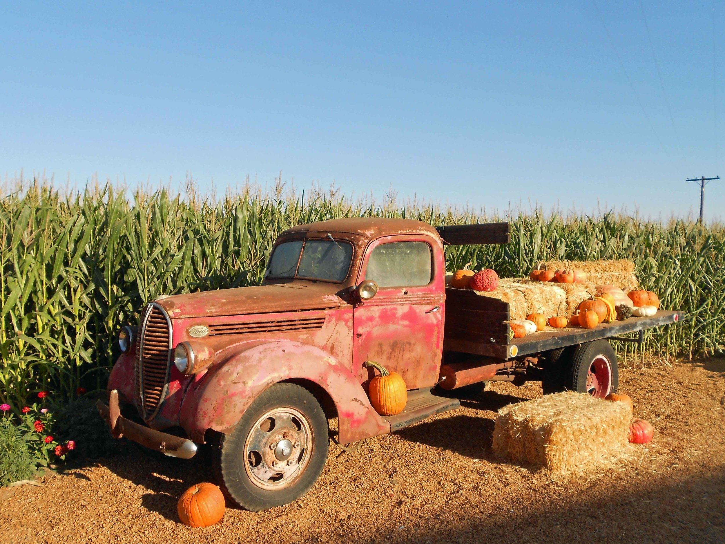  Photo by Adam Blauert 