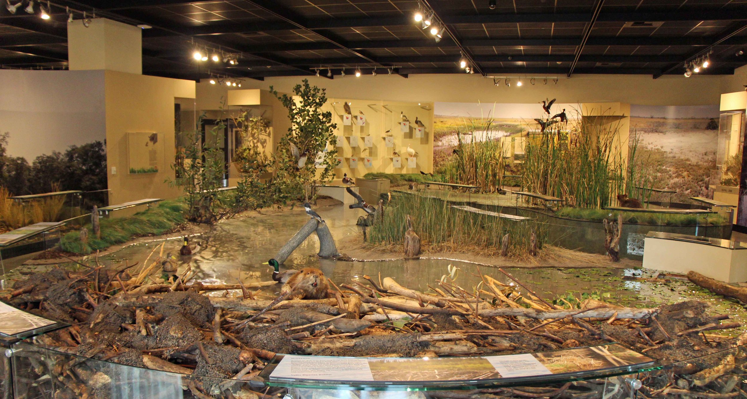  Photo by Adam Blauert 