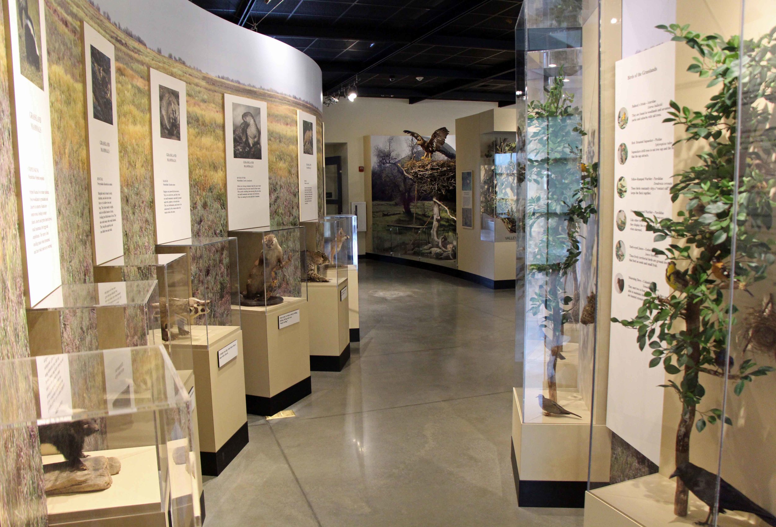  Photo by Adam Blauert 