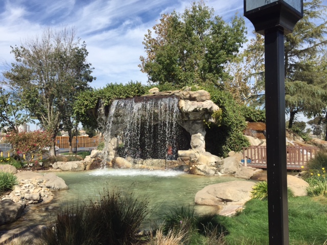  Photo by Steve Newvine 