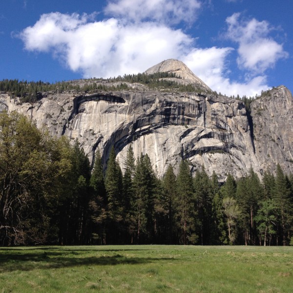 Yosemite Conservancy~Dedicated to improve your visit to Yosemite