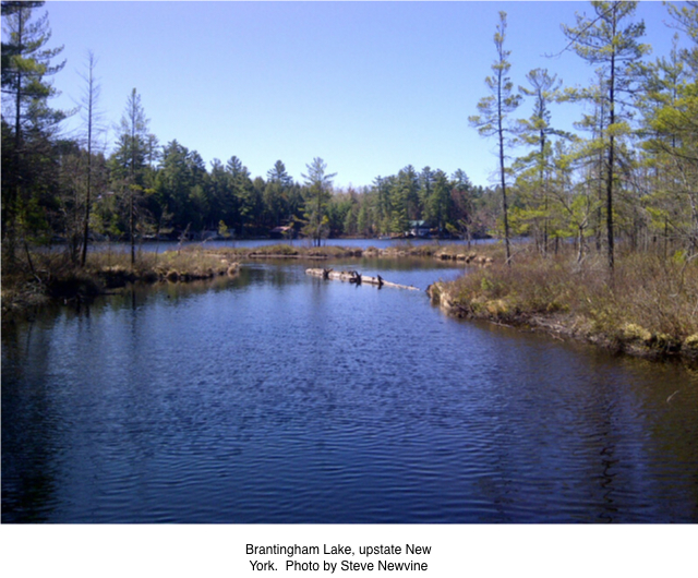 Having a Good Time, Wish You Were Here