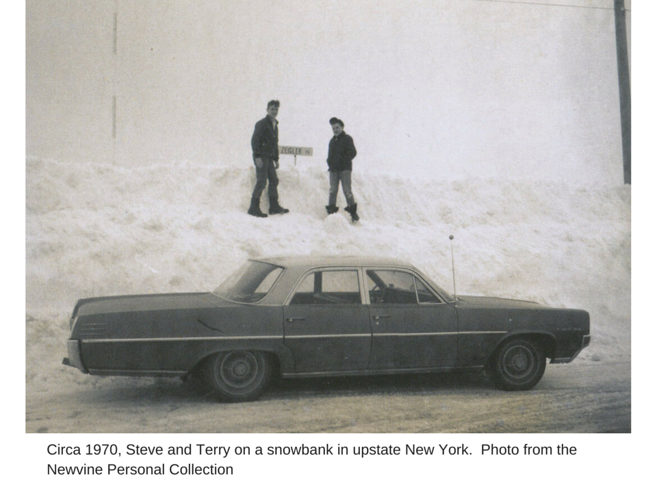 Polaroid Memories-Instant and Enduring Photographs