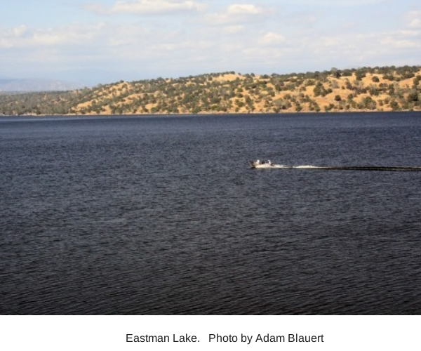 Eastman Lake: Formed by a dam on the Chowchilla reservoir, this tends to be more popular than nearby Hensley Lake.