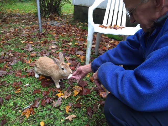  My Dad, Ed “Stub “ Newvine 