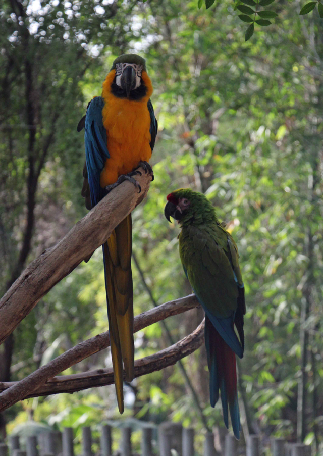 PHOTO BY ADAM BLAUERT