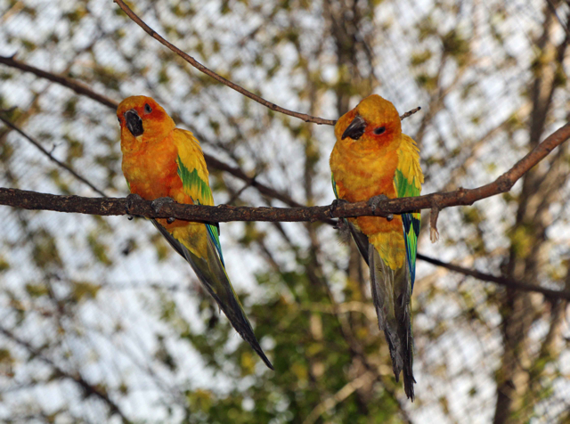 PHOTO BY ADAM BLAUERT