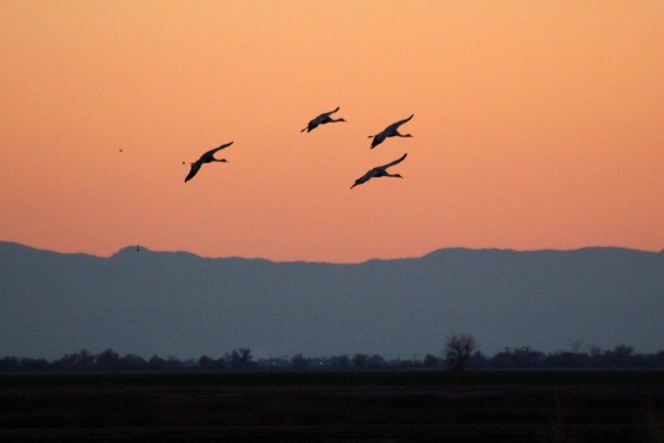 Photo by Adam Blauert