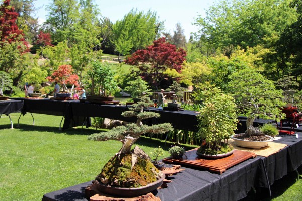 Photo by Adam Blauert