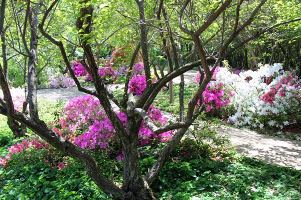 Photo by Adam Blauert