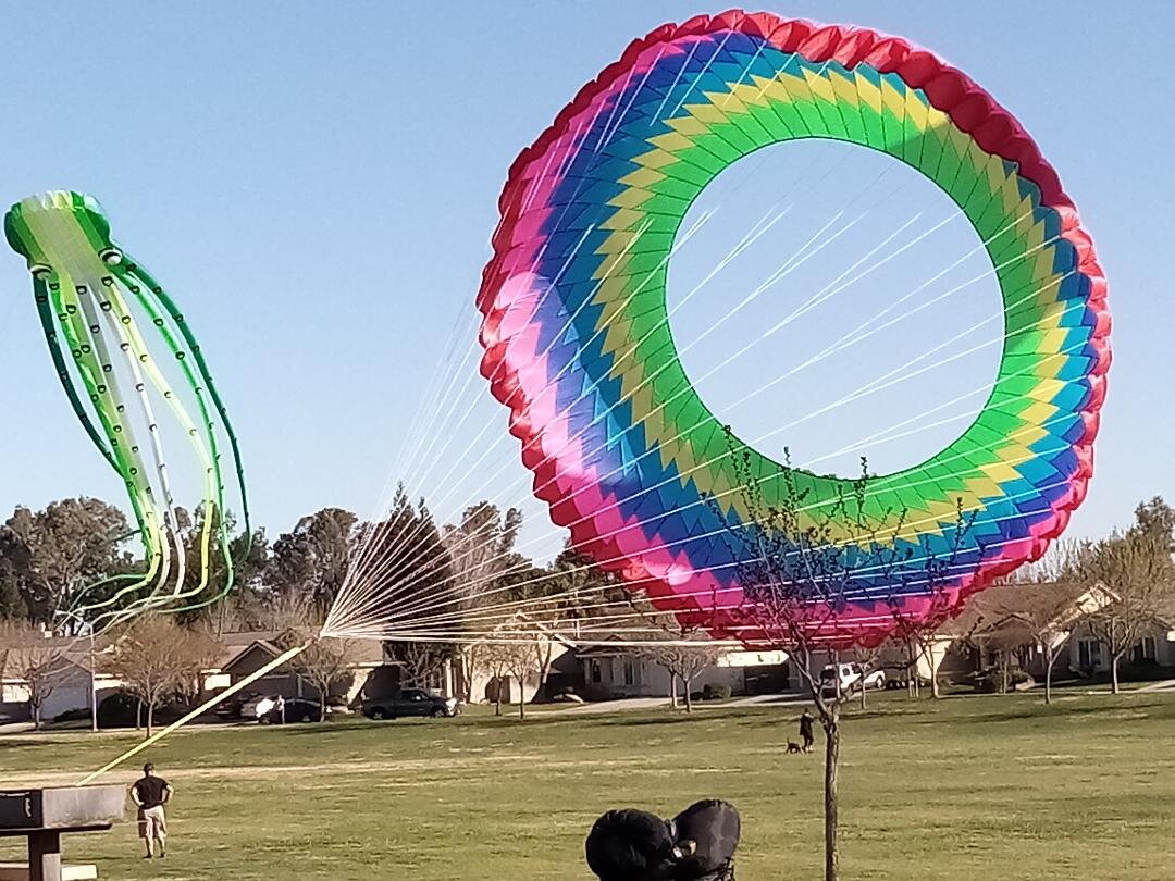  These larger than life kites entertain a north Merced neighborhood on a windy Saturday in March.  Photo-Steve Newvine 