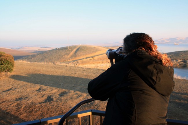  Looking at the elk - PHOTO BY ADAM BLAUERT 