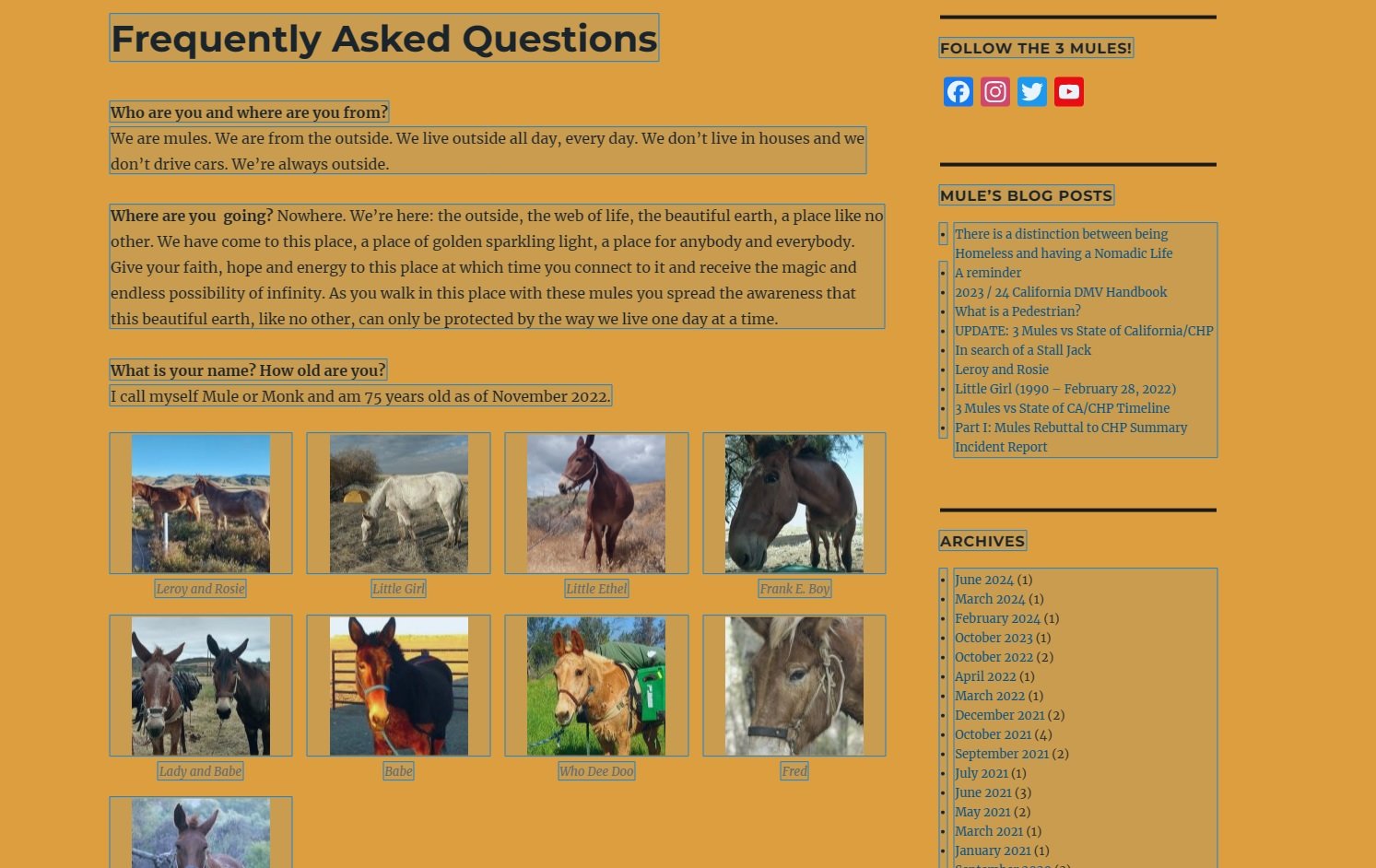 A view of the 3Mules.com webpage featuring some of the mules that make the journey from San Diego to Sacramento and back every year. Photo: 3Mules.com