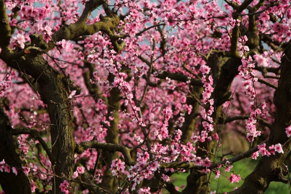  Photo By Adam Blauert 