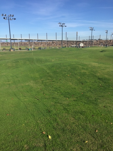   River Park Golf Course ceased operations when the land was sold to Children’s Hospital of Central California.  The new name for the course is Valley Golf Center.  There’s new management, and a revision to the Hospital’s plan to use the land for expansion. Photo by Steve Newvine 