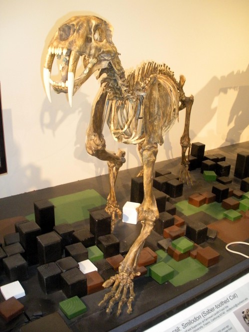 Photo By Adam Blauert