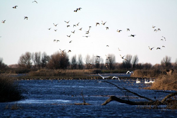 San Luis Refuge - PHOTO BY ADAM BLAUERT