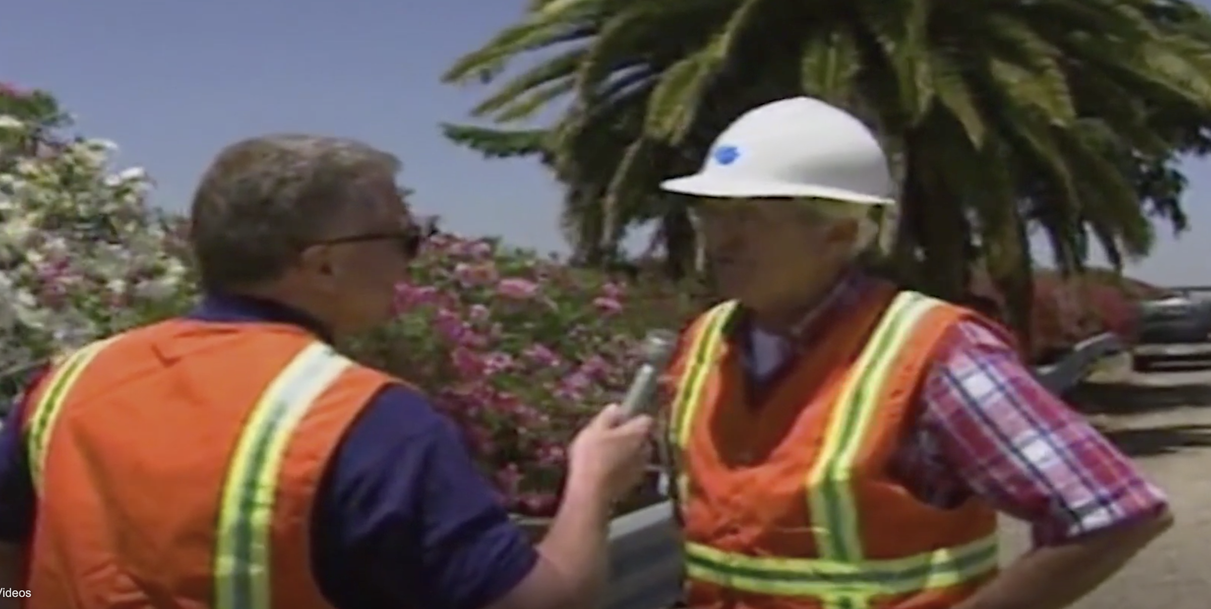 The late Huell Howser, interviewed a Caltrans spokesman in the mid 1990’s about the palm and the pine.