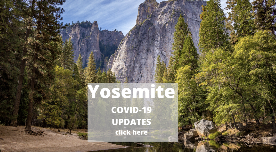 Yosemite and COVID-19 The latest update information