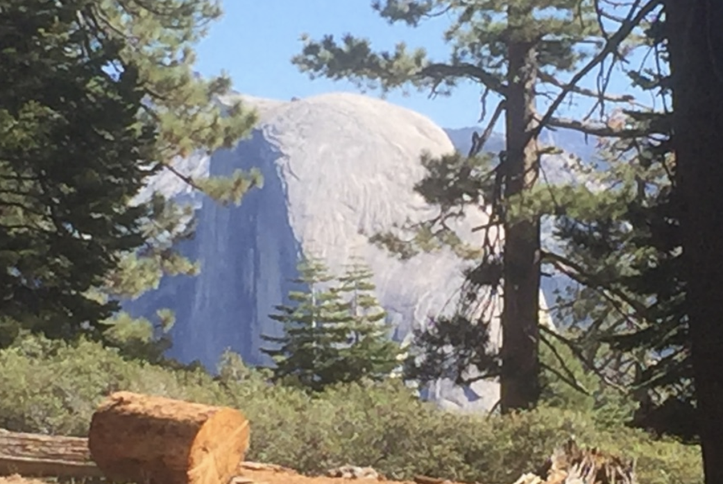 Hiking Sentinel Dome. Amazing Views And An Easy Hike