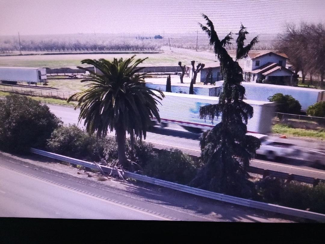 the palm and the pine south of the City of Madera on Highway 99. Photo: KCRA Sacramento