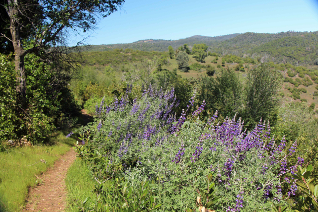 Stockton Creek - PHOTO BY ADAM BLAUERT