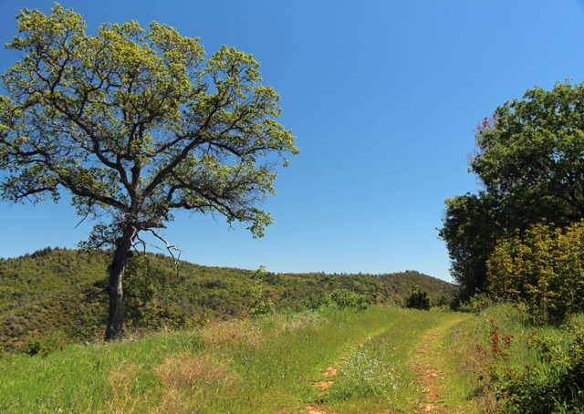 PHOTO BY ADAM BLAUERT