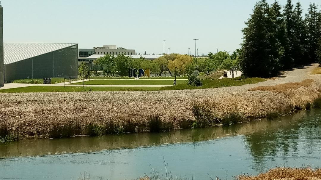 The Carol Tomlinson Keasey Quad at UC Merced. Photo: Steve Newvine
