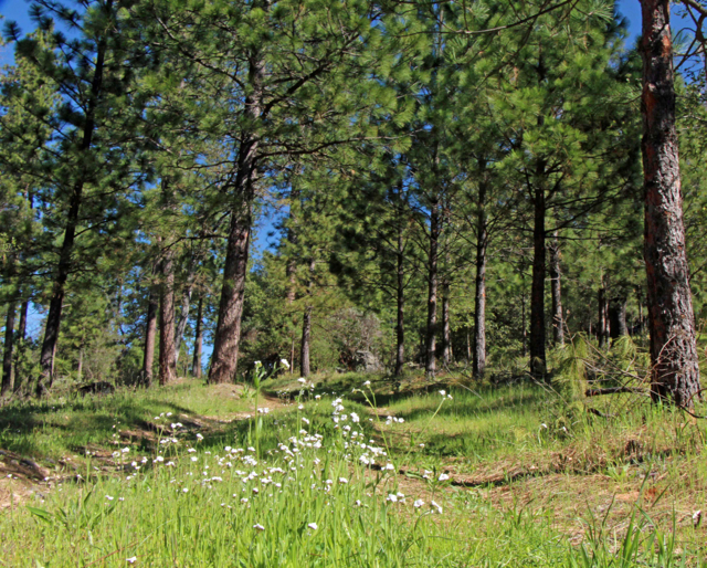 Van der Ahe - PHOTO BY ADAM BLAUERT