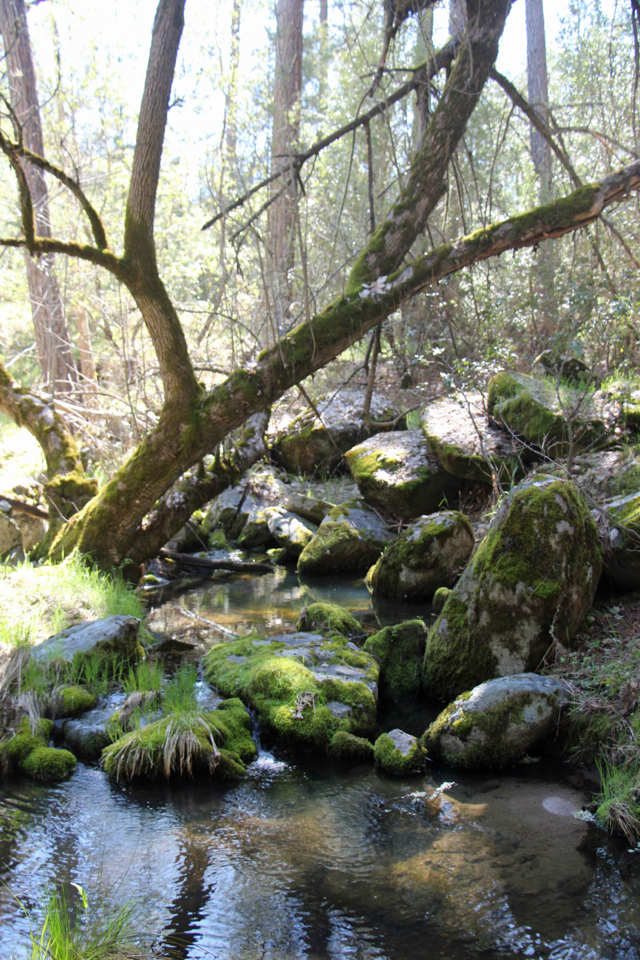 Van der Ahe - PHOTO BY ADAM BLAUERT