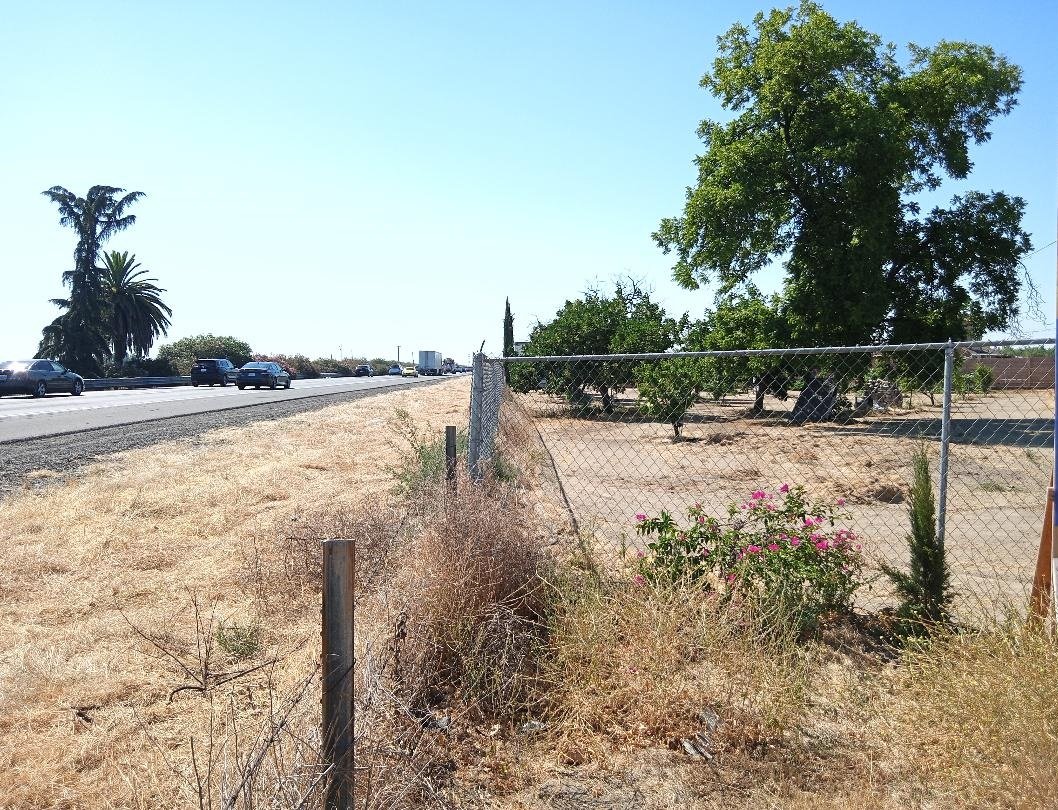 The palm and the pine remains one of the more popular topics I write about in the Our Community Story column. Photo: Steve Newvine